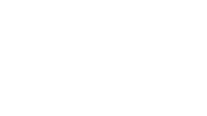 ds