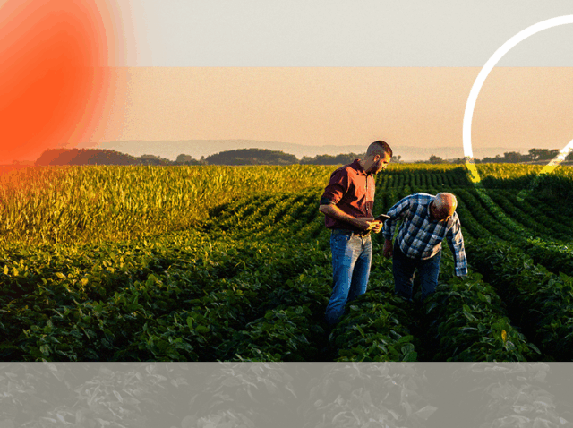 inovação no agronegócio