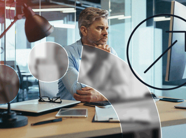 ppb na lei da informática