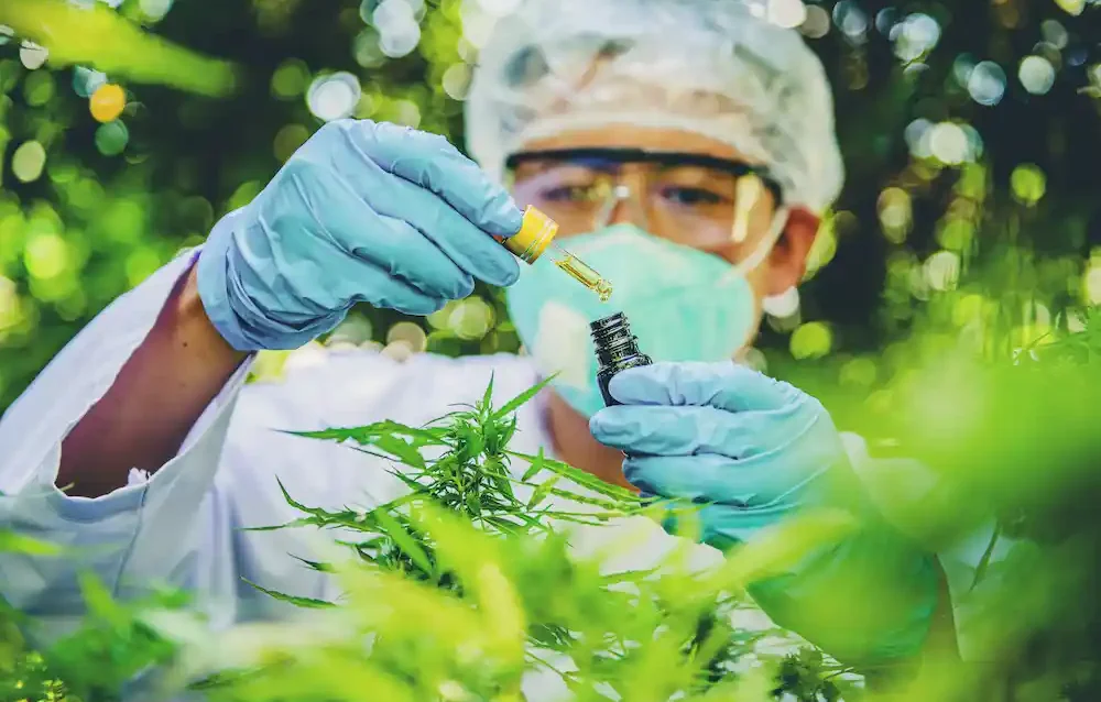 Lei do Bem para biotecnologia