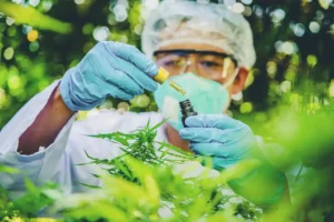 Lei do Bem para biotecnologia