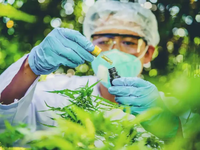 Lei do Bem para biotecnologia