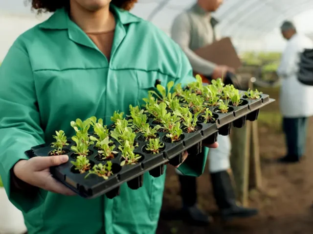 agronegócio reforma tributária