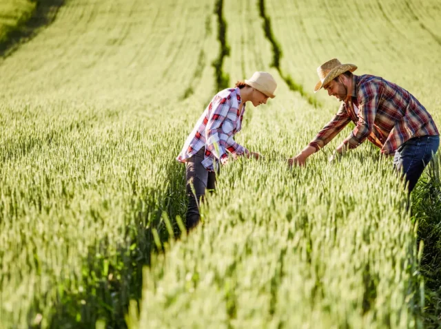 edital FINEP agricultura familiar