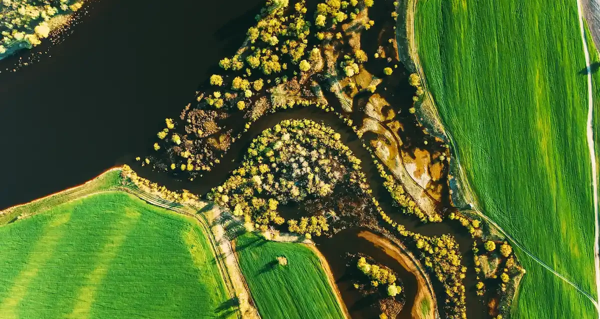 bioeconomia