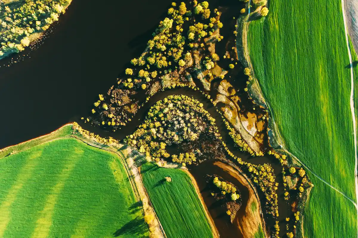 bioeconomia
